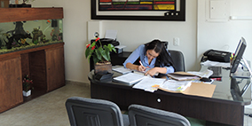 Arce Ingenieria